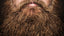 picture of red beard